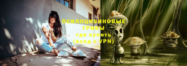 ПСИЛОЦИБИНОВЫЕ ГРИБЫ Арсеньев