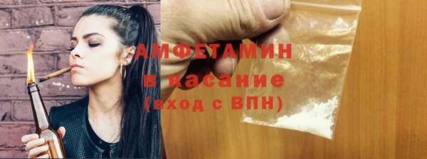 ПСИЛОЦИБИНОВЫЕ ГРИБЫ Арсеньев