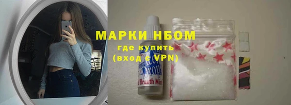 ПСИЛОЦИБИНОВЫЕ ГРИБЫ Арсеньев