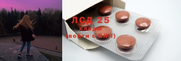 ПСИЛОЦИБИНОВЫЕ ГРИБЫ Арсеньев