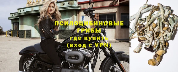 гидропоника Армянск