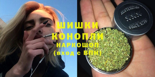 ПСИЛОЦИБИНОВЫЕ ГРИБЫ Арсеньев