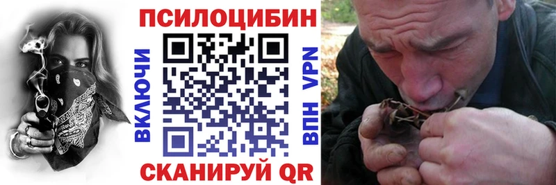 Псилоцибиновые грибы MAGIC MUSHROOMS  как найти закладки  Петровск 